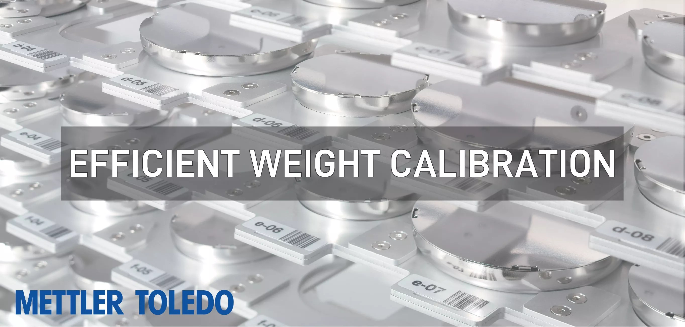Efficient Weight Calibration